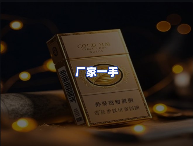 专业团队
